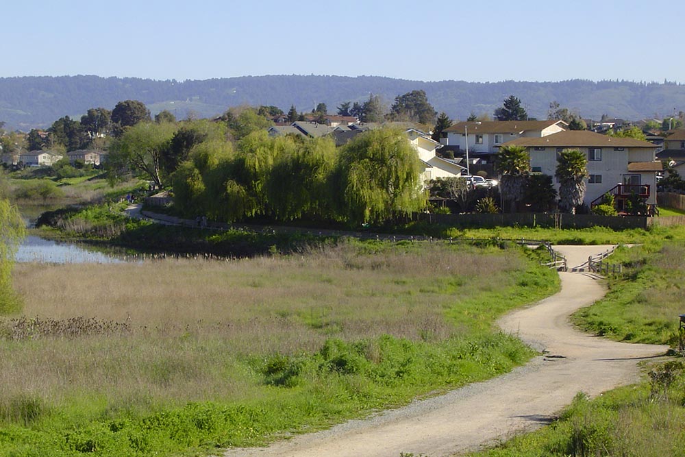 Harkings road made by Don Chapin in Monterey County